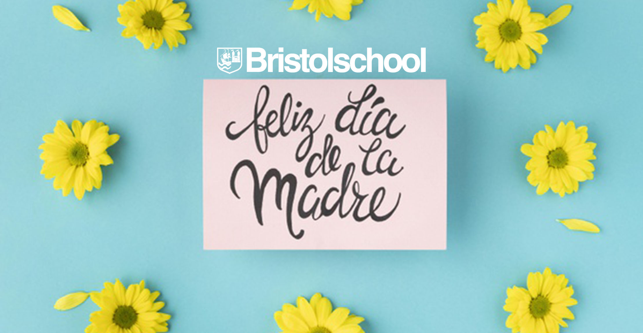 Regalos para niños - Bristol School