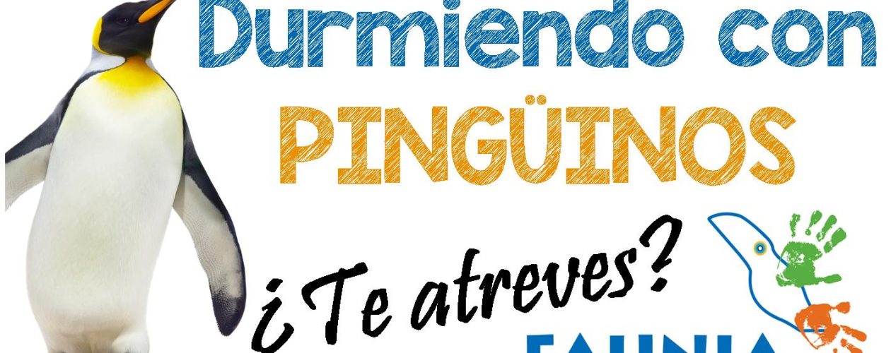 Durmiendo con pingüinos en Faunia