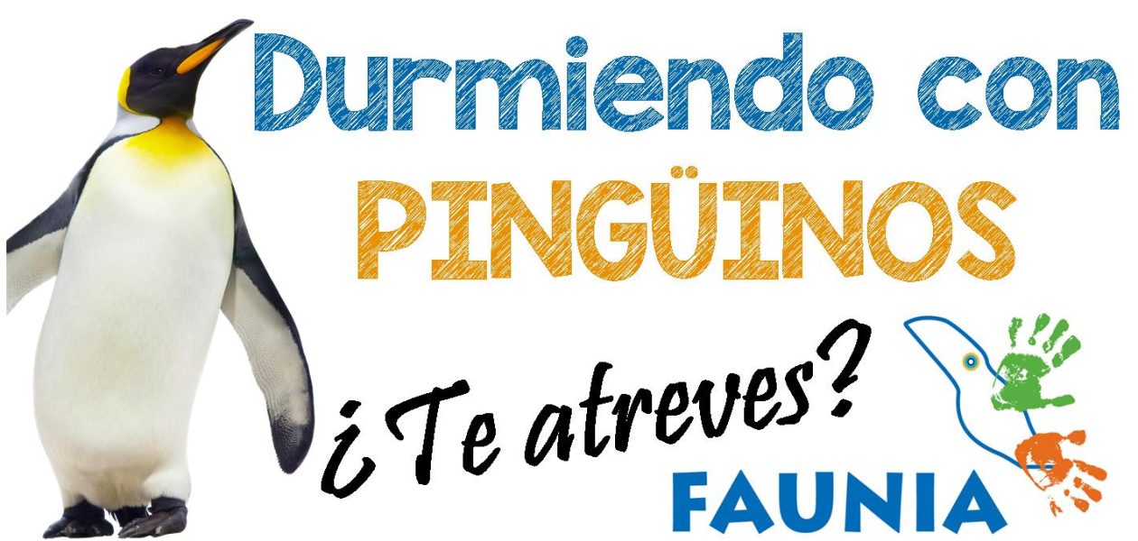 Durmiendo con pingüinos en Faunia