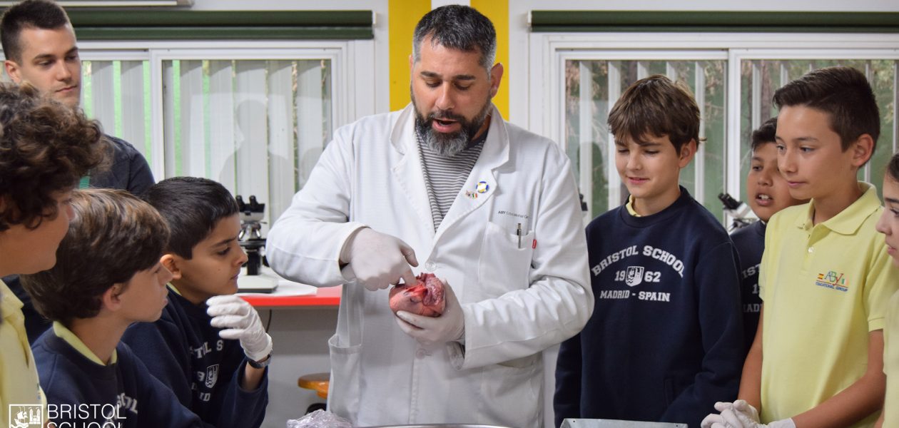 Laboratorio en 6º de Primaria