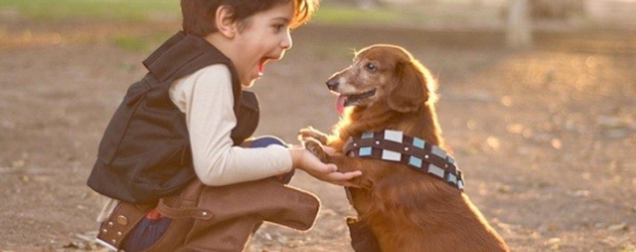 Cómo las mascotas pueden ayudar a los niños a desarrollar habilidades sociales