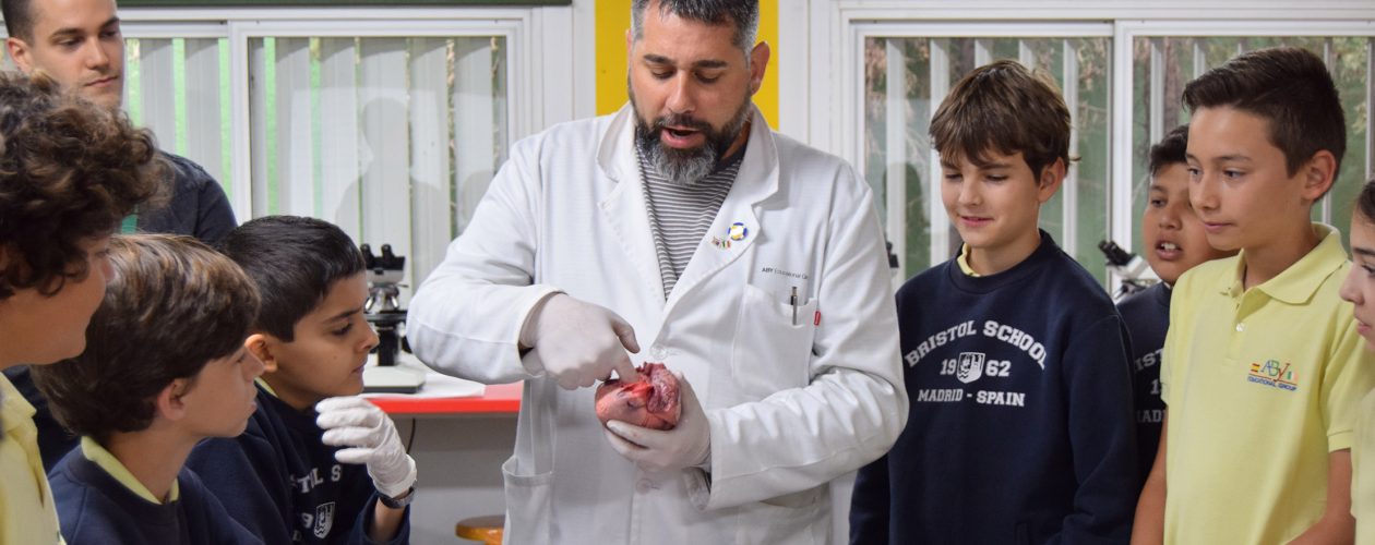 Laboratorio en 6º de Primaria