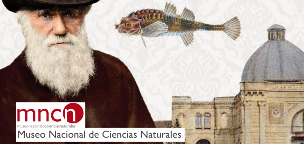 Concurso de dibujo Darwin